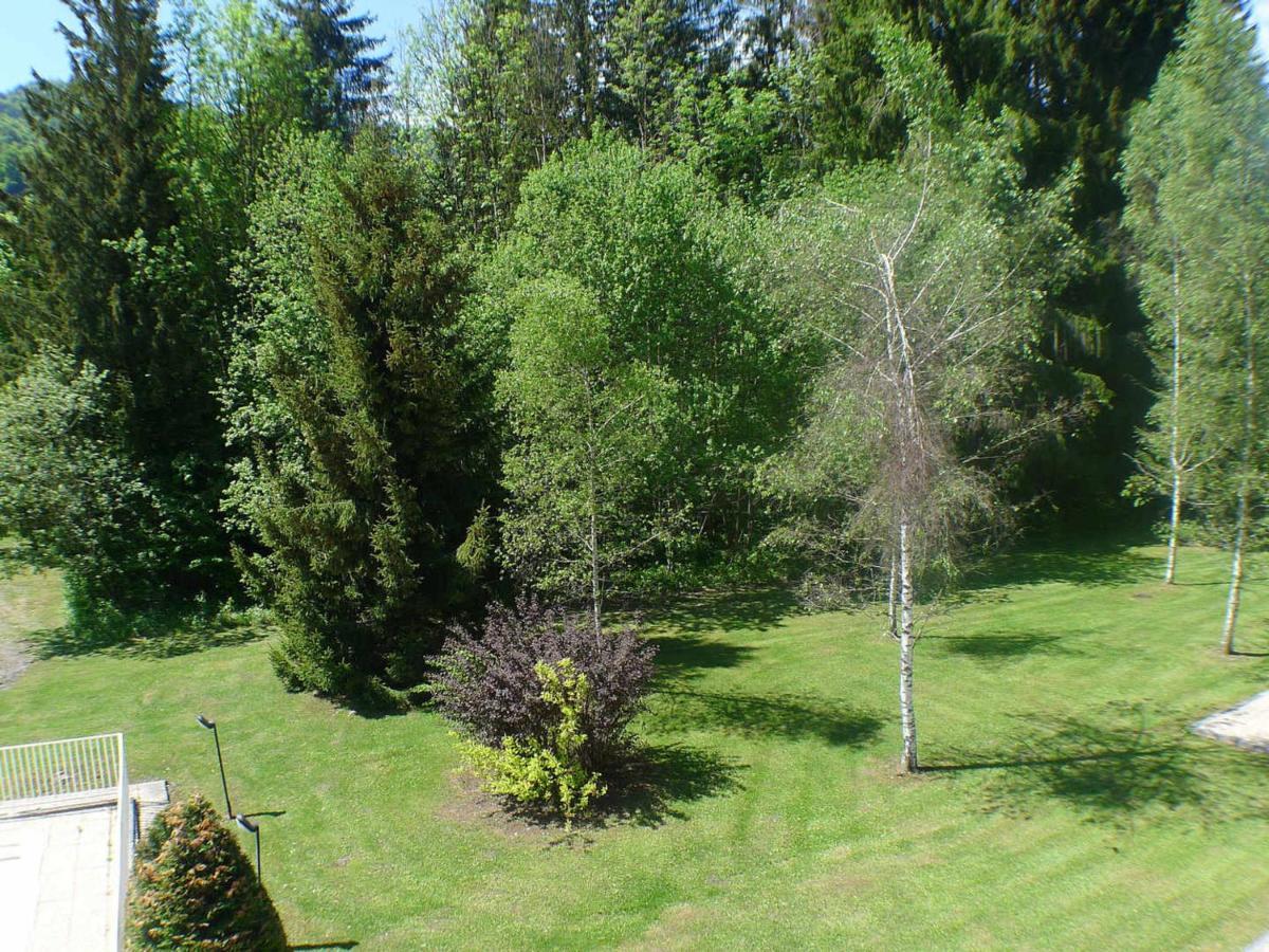 Studio Mansarde Avec Balcon, Piscine Et Parking Souterrain A Samoens - Fr-1-629-92 Zewnętrze zdjęcie