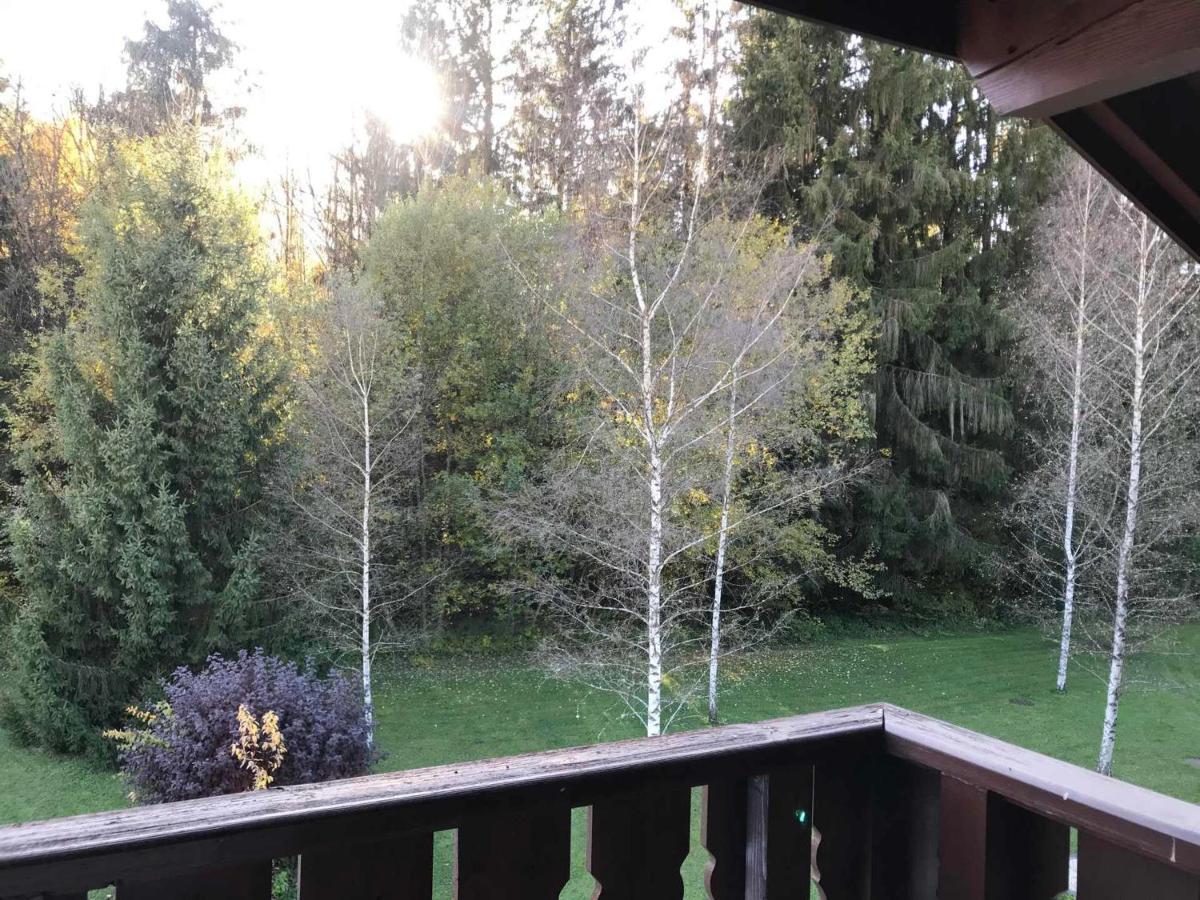 Studio Mansarde Avec Balcon, Piscine Et Parking Souterrain A Samoens - Fr-1-629-92 Zewnętrze zdjęcie